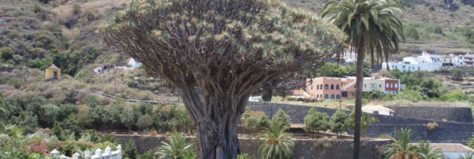 Stunning Views At Tenerife Такоронте Екстериор снимка
