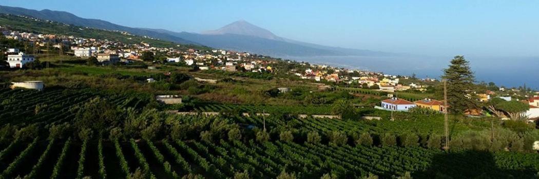 Stunning Views At Tenerife Такоронте Екстериор снимка